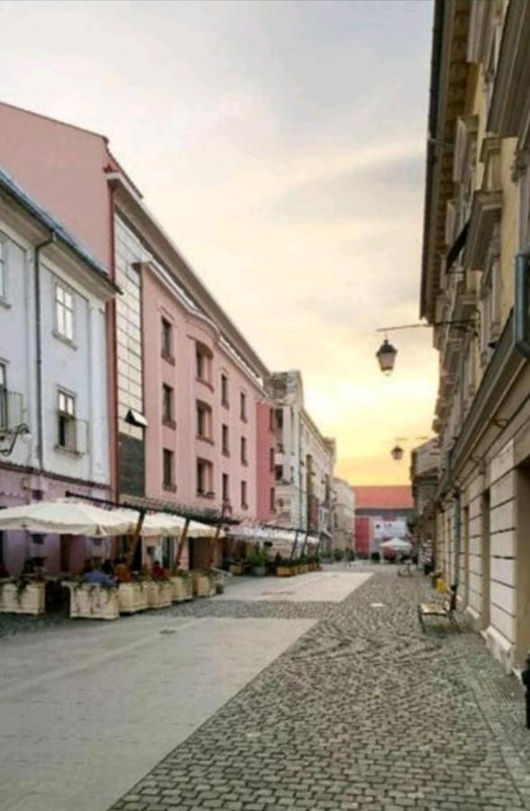 Savoya Residence Temešvár Exteriér fotografie